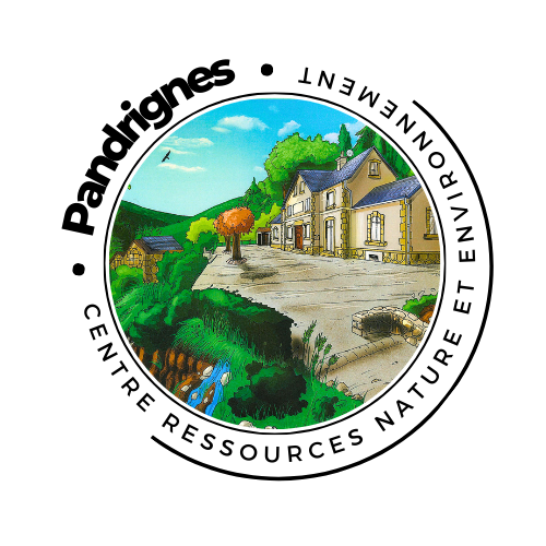 LOGO CRNE PANDRIGNES