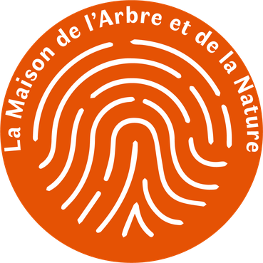Maison de larbre