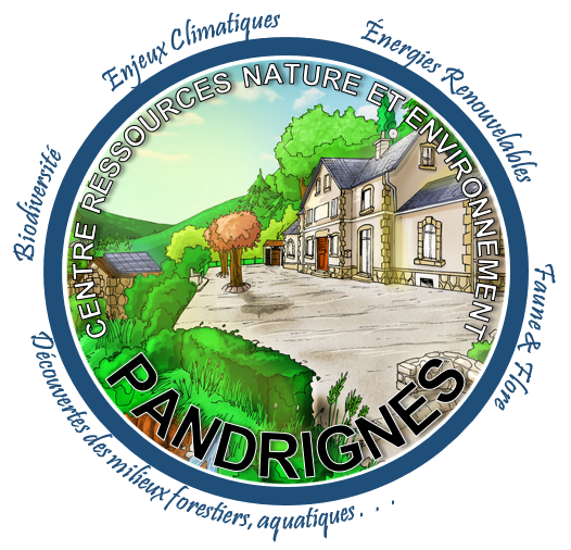 Logo-Pandrignes